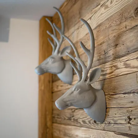 Alpine Brixen Daire Brixen im Thale