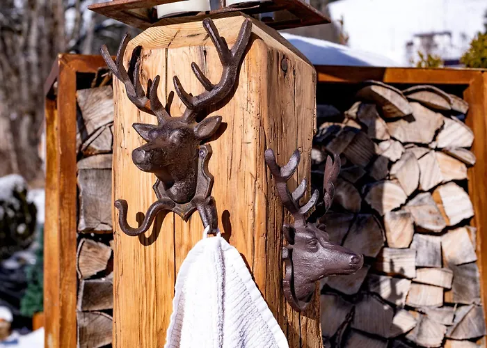Daire Alpine Brixen *