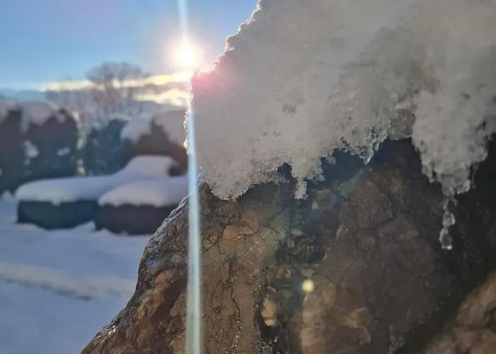 Apartment Alpine Brixen